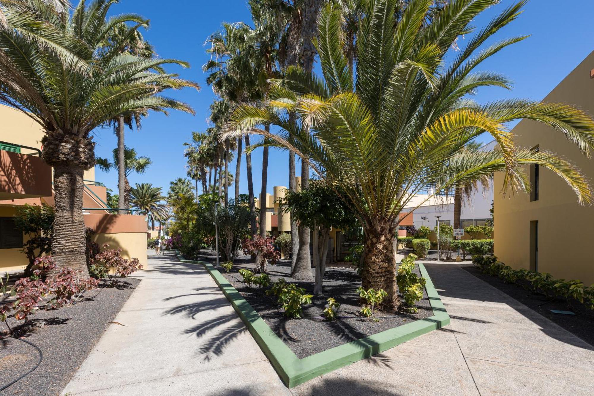 Home2Book Pool & Tennis Court Cozy Apt, Corralejo Exterior foto